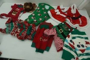 Holiday Pet Sweaters & Outfits