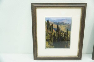 Framed Photo Print 15.5x18. Signed and Numbered 30500