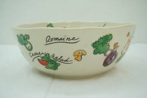 Large Ceramic Salad Bowl 11 diameter by 4.5 tall