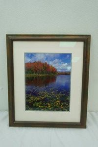 Framed Photo Print. Signed & Numbered 2500 18.5x20.5