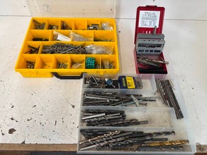 Mixed Lot Drill Bits Burrs & Fasteners