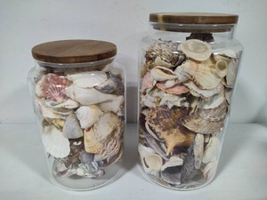 Two Large Jars of Shells