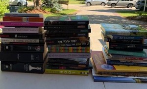 Mixed Book Collection YA Novels Travel Art Reference 30 Volumes