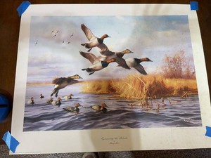 Gary Moss Canvasing the Blocks Signed Limited Edition Duck Print