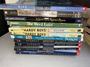 Childrens Chapter Book Lot 21 Hardy Boys Korman Ibbotson Paulsen