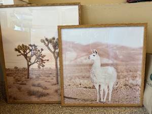 Set of 2 Framed Desert Prints Joshua Tree Llama Wood Frames Decor