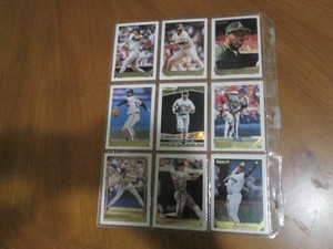 Double Sided Page of Baseball Trading Card Binder Page