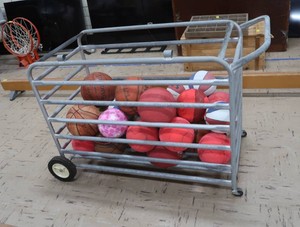 SPORTS BALLS IN MOVABLE METAL RACK