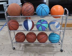 12 BALLS ON MOVABLE RACKCART