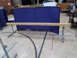 ATLAS & CO BALANCE BEAM WITH PADDED BLUE MATT