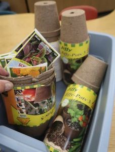 PLANTINGGARDENING LOT
