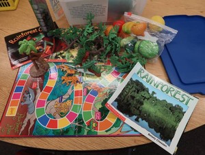 RAINFOREST GAMES AND TOYS LOT
