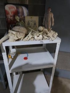 METAL ROLLY CART WITH MINI HUMAN ANATOMY DEMONSTRATION