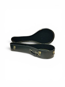 Vintage Mandolin Case