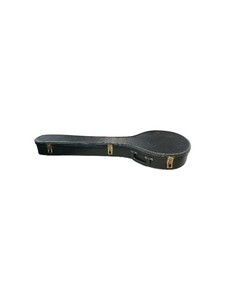 Mandolin Case