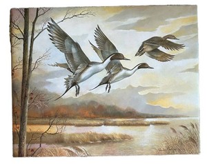 LL2 - Waterfowl Marsh Landscape Art Print