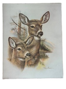 LL2 - Vintage Ruane Manning  Print 1986 Deer Mom and Fawn Unframed 16 X 20