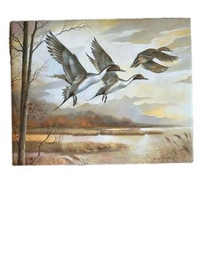 LL2 - Ruane Manning Pintails Print 16 X 20