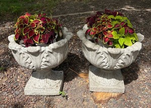 FY - Two Cement Pedestal Planters