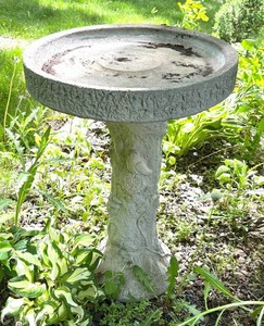 BY - Cement Birdbath