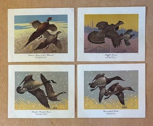 LLL - Four Unframed Les Kouba Wildlife Prints