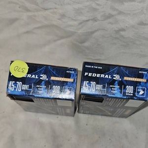 Federal Two Boxes 45-70 300gr SP