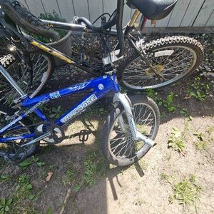 Pair of Bicycles as Pictured