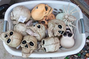 Halloween Decor Lot  Assorted Plastic Skulls