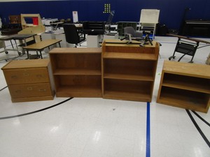 Bookshelves & Cabinet