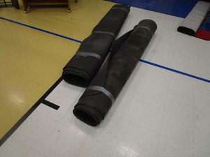 (2) Large Entry Walk Off Mats