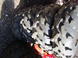 Carlisle ATV tires...
