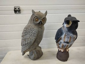 Pair of Garden Owls