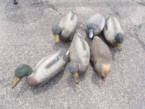 6 duck Decoys