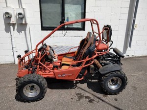 TrailMaster go-kart, likely the 200 XRX model,