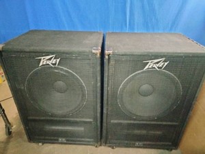 Peavey PV 118 or 118-Sub passive 18" subwoofers.