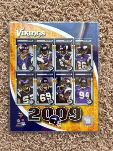 2009 Minnesota Vikings Team Picture Officially Licensed, Brett Favre, Adiran Peterson, Jared Allen, Chad Greenway, and More
