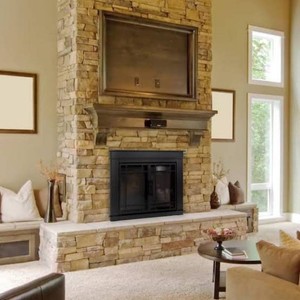 Alpine Medium Glass Fireplace Doors