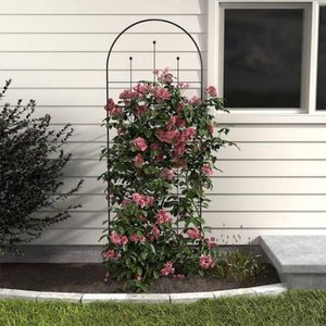 Wisteria Trellis 80 in Black Metal Garden Arch Plant Support Outdoor Durable