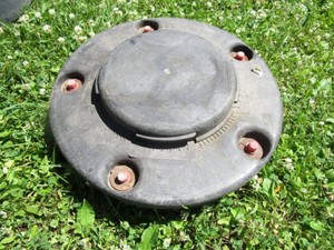 Brute Can Dolly