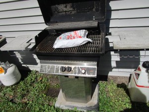 Gas BBQ Grill