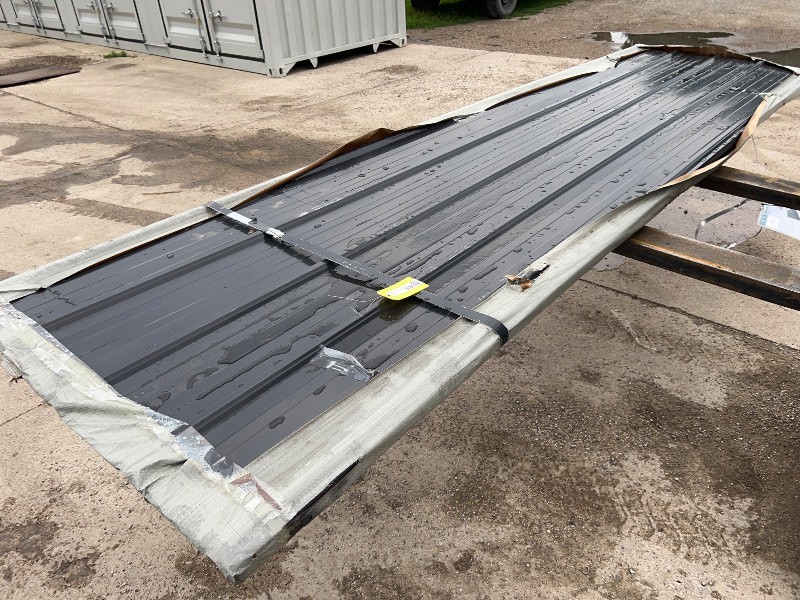 FUTURE 50PCS Galvalume Steel Siding Roofing (FTH50)