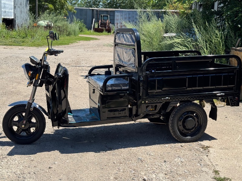 2026 SDLANCH Electric Tricycle (ET13) - Black