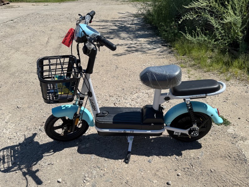 FUTURE Electric Bicycle (FT-E48) Blue & White