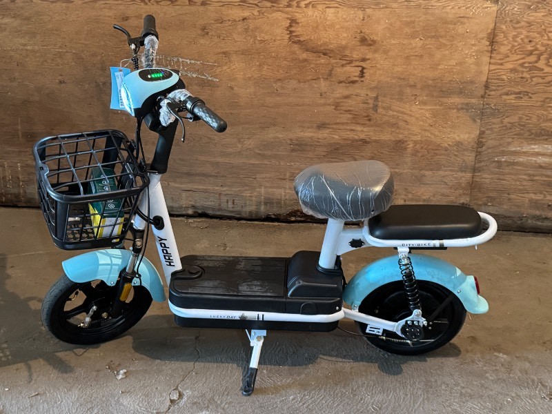 FUTURE Electric Bicycle (FT-E48) Black & White