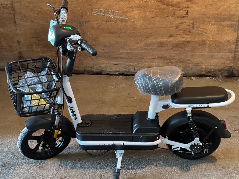FUTURE Electric Bicycle (FT-E48) Black & White
