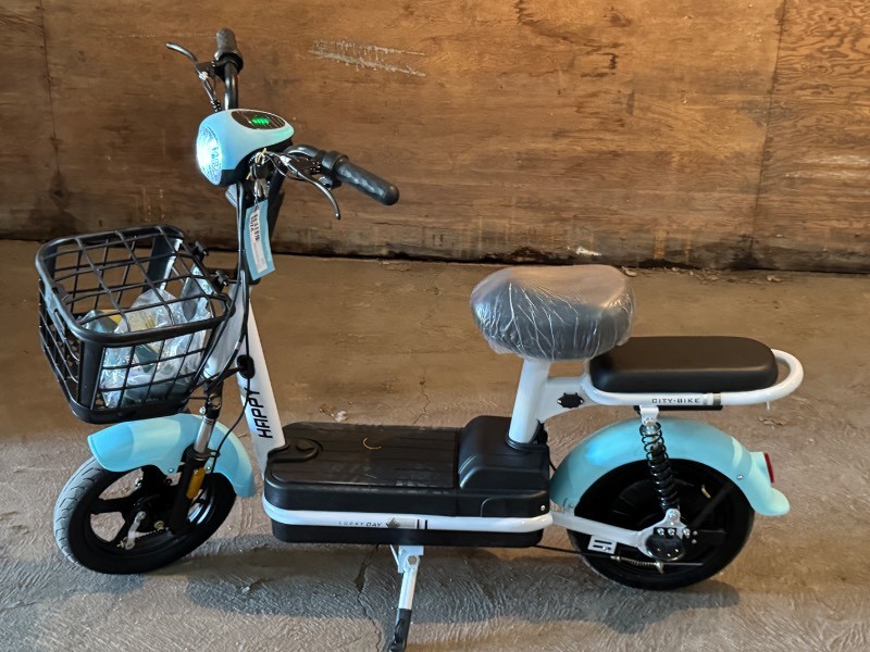 FUTURE Electric Bicycle (FT-E48) Blue & White
