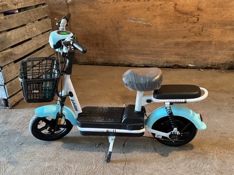 FUTURE Electric Bicycle (FT-E48) Blue & White