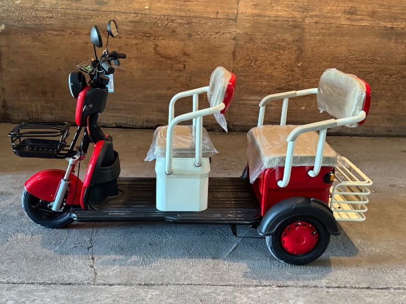 2026 SDLANCH Electric Tricycle Mini Golf Cart (IRGC40) - Red