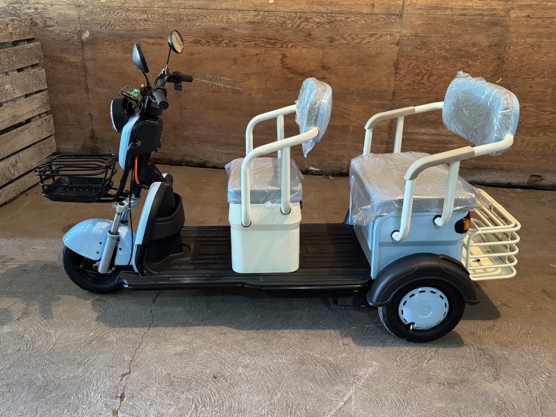 2026 SDLANCH Electric Tricycle Mini Golf Cart (IRGC40) - Blue