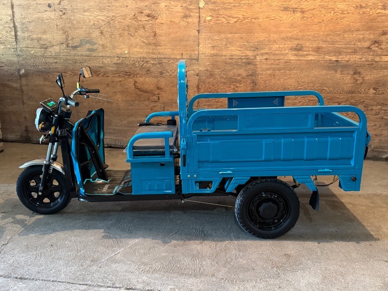 2026 SDLANCH Electric Tricycle (ET13) - Blue